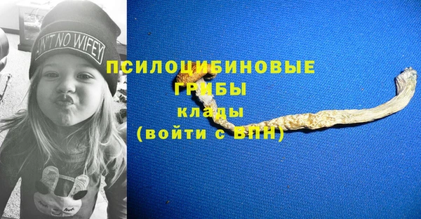 2c-b Балахна