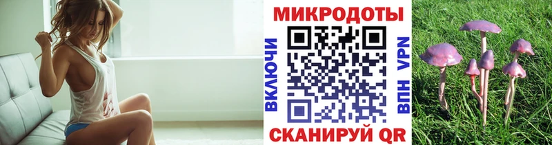 мега как войти  Усть-Джегута  Псилоцибиновые грибы Psilocybe 